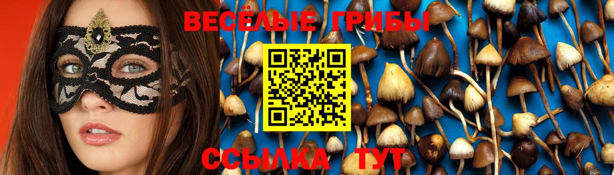 Псилоцибиновые грибы мицелий  Вход с VPN  Сертолово 