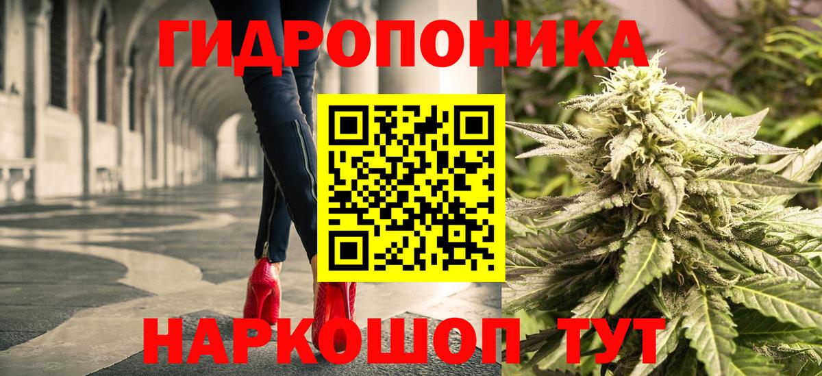 Каннабис SATIVA & INDICA Сертолово